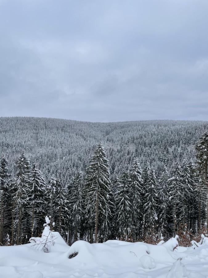 Bergstadthuette Harz Bad Grund