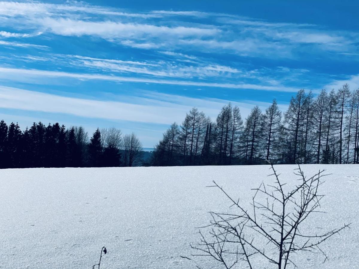 Bergstadthuette Harz Holiday home Bad Grund
