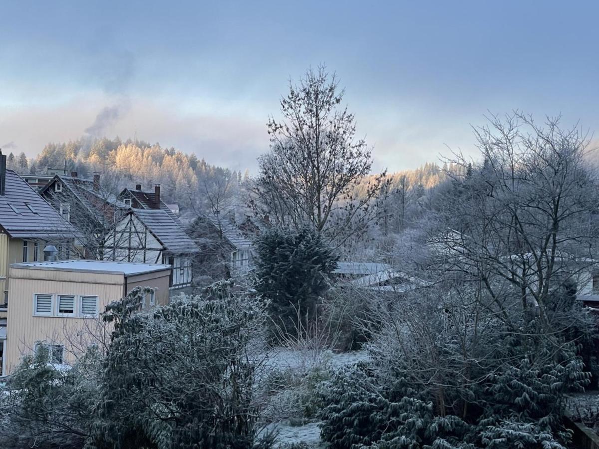 Bergstadthuette Harz * Bad Grund